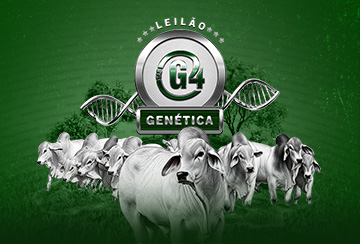 LEILÃO GENÉTICA TAB G4